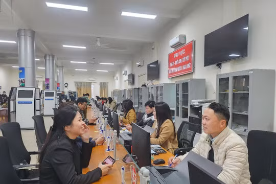 Trung tâm Dịch vụ việc làm Thanh Hóa: Phát huy tốt vai trò kết nối cung - cầu lao động, phát triển thị trường lao động bền vững và hiệu quả