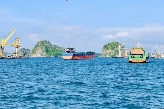 Quảng Ninh: Xây dựng cảng Con Ong - Hòn Nét liên kết Việt Nam - Hoa Kỳ