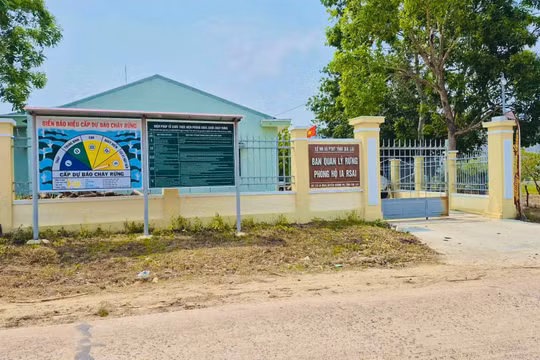 Gia Lai: Bắt giam Trưởng Ban Quản lý rừng phòng hộ vì gây thất thoát tiền dịch vụ môi trường rừng