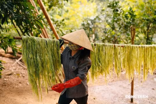 Vải làm từ sợi lá dứa: Nguyên liệu cho ngành thời trang xanh