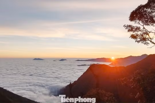 Tà Xùa lọt top 26 điểm đến toàn cầu năm 2026: Vẻ đẹp nguyên bản của thiên đường săn mây