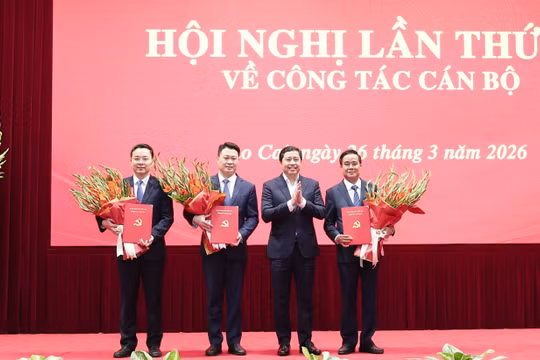 Lào Cai bổ sung 3 Ủy viên Ban Thường vụ, bầu Phó Bí thư Tỉnh ủy