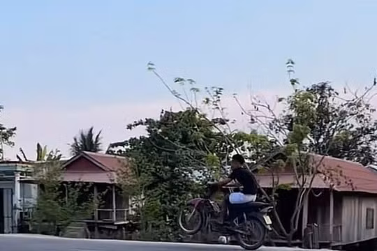 Gia Lai: Nam thiếu niên điều khiển xe bằng một bánh, quay clip câu like