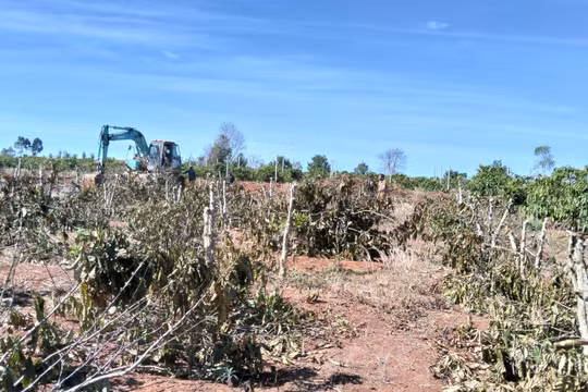 Gia Lai: Bàn giao gần 10 km mặt bằng thi công Dự án thành phần 3 cao tốc Quy Nhơn - Pleiku