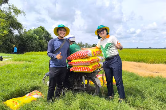 PVFCCo – Phú Mỹ: 23 năm bền bỉ mở rộng giá trị, vươn tầm quốc tế