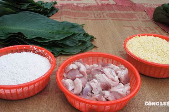 ‘Khách Tây’ trải nghiệm Tết Việt ở ngôi đình đẹp nhất xứ Đoài