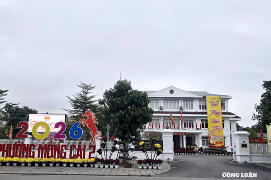 Phường Móng Cái 2: Bước chuyển mình trong kỷ nguyên mới