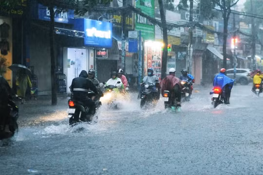 Dự báo thời tiết ngày 11/2: TP HCM xuất hiện mưa trái mùa