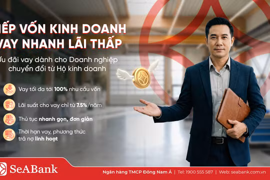 Nghịch lý “lính mới”: Kinh doanh nhiều năm vẫn khó vay vốn sau khi chuyển đổi doanh nghiệp