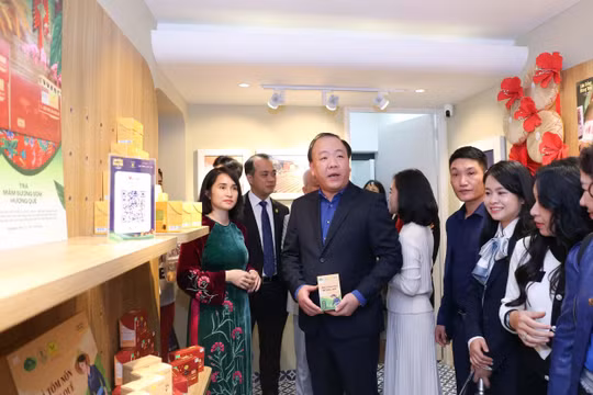 Ngày mai, một Cục trưởng sẽ lên ‘sóng’ livestream bán socola, trà ‘made in Việt Nam’
