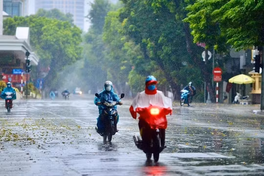 Dự báo thời tiết ngày 20/1: Gió Đông Bắc về, nhiều khu vực chuyển rét