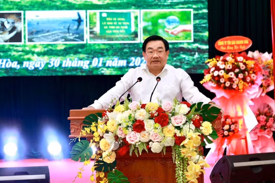 Khánh Hòa: Tăng cường quản lý, bảo vệ rừng, đất rừng và chống săn bắt chim yến