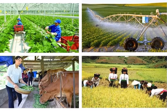 Đổi mới truyền thông về nông nghiệp, nông dân, nông thôn gắn với bảo vệ môi trường