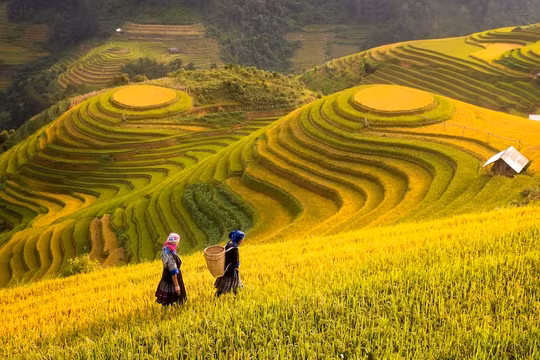 Sa Pa - điểm đến được truyền thông Hàn Quốc, Thái Lan ca ngợi