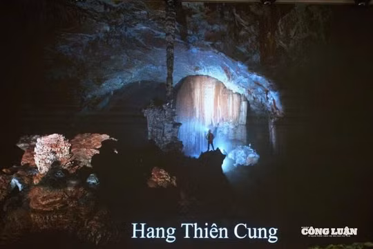 Quảng Trị: Phát hiện nhiều hang động mới tại Phong Nha – Kẻ Bàng