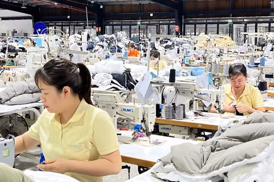 Lào Cai triển khai Chương trình phát triển 1.000 doanh nghiệp tiên phong giai đoạn 2026 - 2030