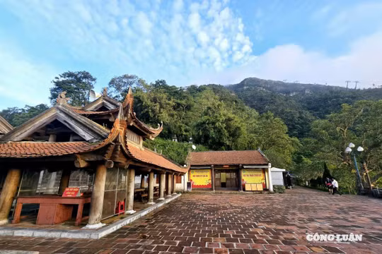 Quảng Ninh phát động cuộc thi sáng tác biểu trưng, xây dựng bộ nhận diện thương hiệu xứng tầm vị thế