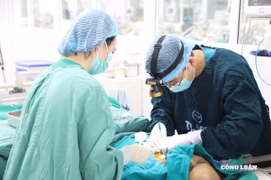 TP Hồ Chí Minh chi mạnh đào tạo bác sĩ nội trú, cam kết 6 năm phục vụ và rút ngắn thủ tục hành nghề