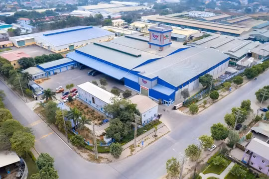 Phú Thọ: Xử phạt nhiều doanh nghiệp vi phạm quy định về sản xuất, chăn nuôi và môi trường