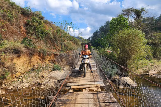 Ám ảnh những cây cầu treo mục nát, lắc lư ở Quảng Ngãi