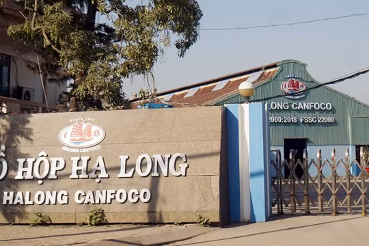 Hải Phòng: Đường đi của 120 tấn thịt dịch tả lợn châu Phi tuồn vào Công ty CP Đồ hộp Hạ Long