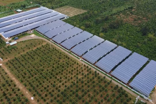 Điện mặt trời mái nhà giúp trang trại giảm mạnh chi phí điện