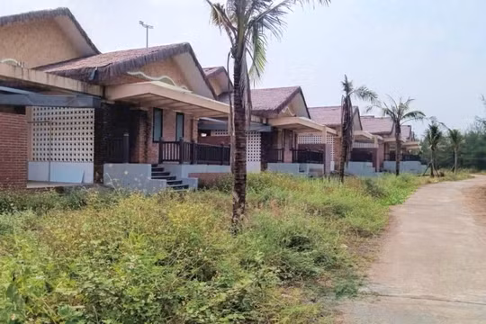Quảng Trị: Đấu giá, cho thuê dự án bãi tắm, nhà hàng hơn 258 tỷ đồng phục vụ du khách