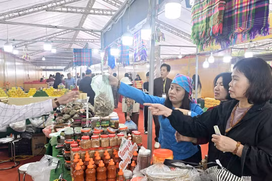 Quảng Ninh: Mạnh tay xử phạt hàng trăm cơ sở vi phạm vệ sinh an toàn thực phẩm