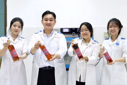 Việt Nam chính thức có đại học thứ 13