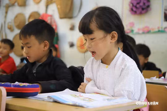 Bộ Giáo dục và Đào tạo đưa ra lộ trình miễn phí sách giáo khoa toàn quốc