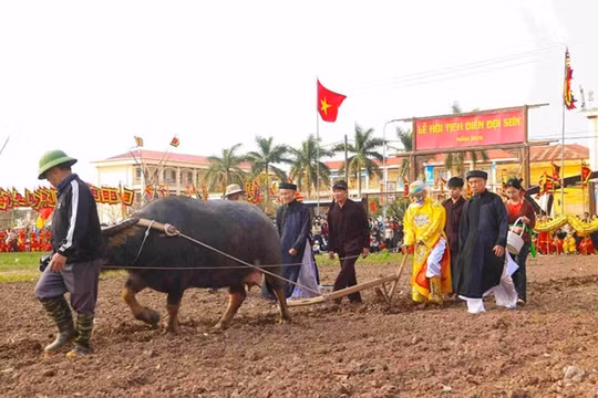Lễ hội Tịch điền Đọi Sơn xuân Bính Ngọ 2026: Nhà vua xuống đồng cày ruộng