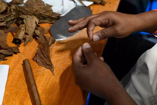 Cuba hoãn lễ hội xì gà quốc tế do cuộc khủng hoảng năng lượng