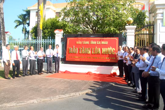 Cà Mau thành lập Bảo tàng Lúa nước, tôn vinh văn minh nông nghiệp