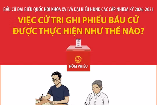 Việc cử tri ghi phiếu bầu cử được thực hiện như thế nào?