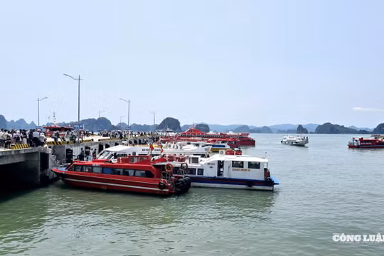 Quảng Ninh: Hơn 4.100 tỷ đồng doanh thu trong hai kỳ nghỉ lễ liên tiếp