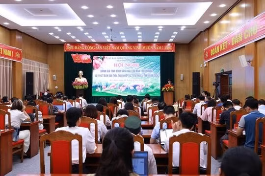 Bắc Ninh đẩy mạnh liên kết tiêu thụ vải thiều, mở rộng thị trường năm 2026
