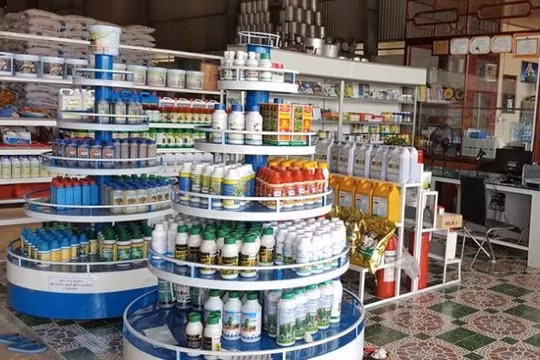 Cửa hàng thuốc bảo vệ thực vật phải tách biệt trường học, bệnh viện, khu ăn uống