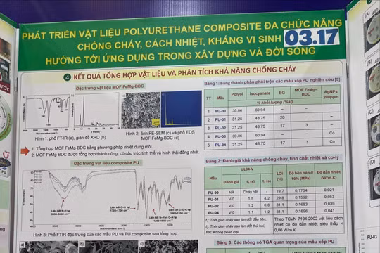 Bộ Giáo dục và Đào tạo nói gì về giải nhất khoa học kỹ thuật học sinh bị tố giống luận án tiến sĩ?
