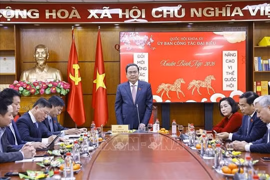 Đẩy mạnh tập huấn cho đội ngũ cán bộ tham gia công tác bầu cử