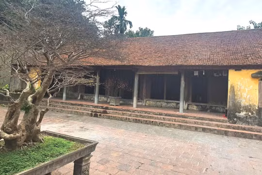 Vụ án tranh chấp về chia thừa kế theo di chúc: Vì sao bị đơn tiếp tục kháng cáo?