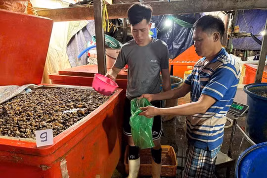 Cơ sở phù phép 3.000 tấn thịt ốc 'bẩn' ra thị trường trong suốt 5 năm