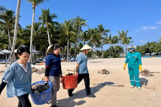 Phú Quốc: Hàng trăm người nỗ lực làm sạch bãi biển trong mùa gió chướng