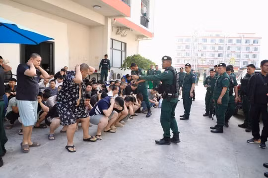 Campuchia bắt giữ hơn 2.000 nghi phạm lừa đảo trực tuyến