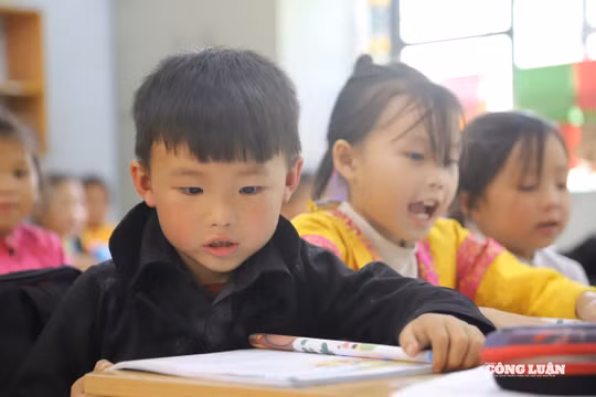 Giáo viên 'ngã ngửa' vì phụ cấp ưu đãi bị cắt, còn bị truy thu tiền đã nhận