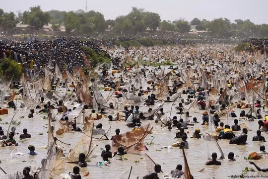 Lễ hội đánh cá Argungu nổi tiếng tại Nigeria trở lại sau 6 năm