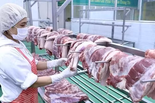 Thịt heo sẽ sớm lên sàn giao dịch