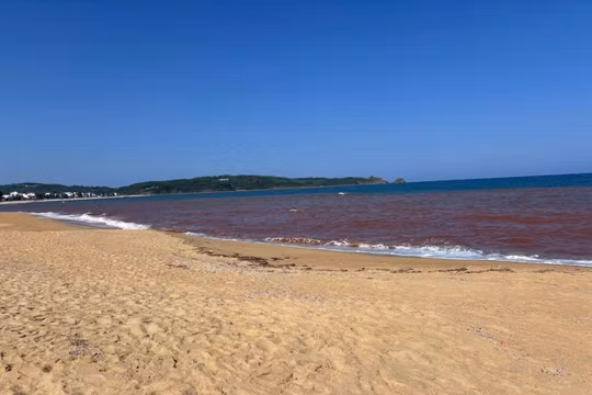 Vì sao biển ở Gia Lai xuất hiện dải nước màu nâu đỏ bất thường?
