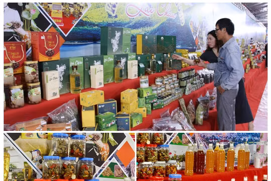 Đến năm 2030, 100% sản phẩm OCOP nông sản thực phẩm được truy xuất nguồn gốc