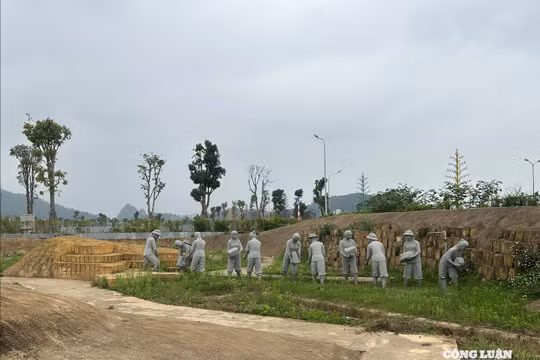 Dấu ấn lịch sử về 64 thầy trò hy sinh khi đắp đê sông Mã