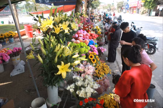 Nhiệt điện Phả Lại: Trao hơi ấm đến những hoàn cảnh khó khăn dịp Tết Bính Ngọ